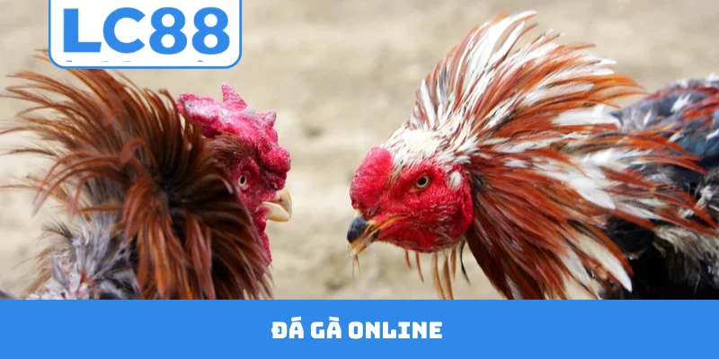 Đá Gà Online