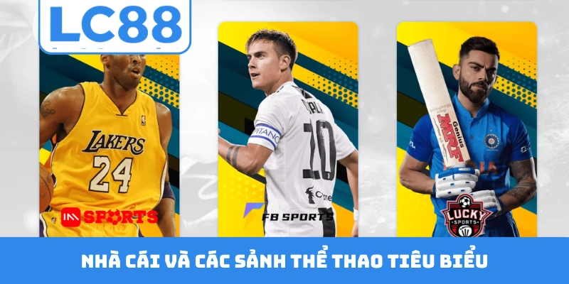 Nhà cái và các sảnh thể thao tiêu biểu