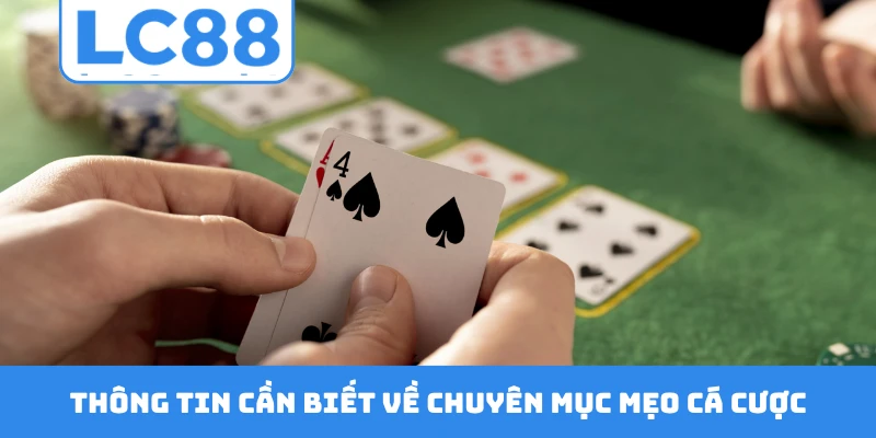Thông tin cần biết về chuyên mục mẹo cá cược